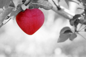 Bild: roter Apfel in Herzform am Baum hängend; Wie ich mich der Aussenwelt zeigen möchte